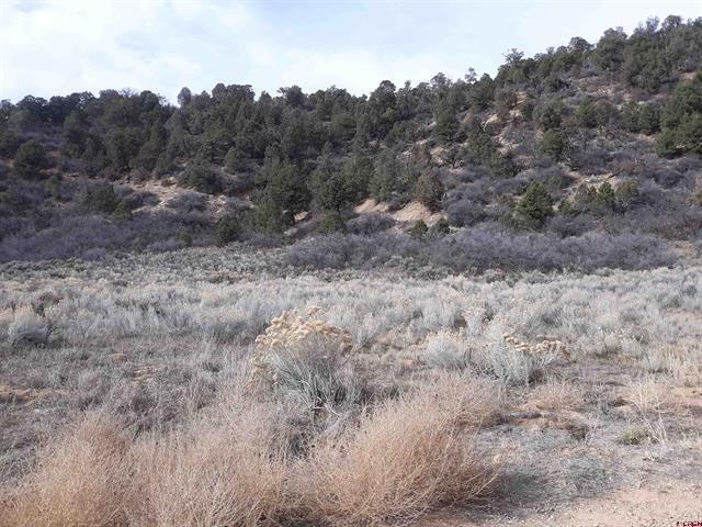 TBD Brave Court, Hesperus, CO for sale - Building Photo - Image 2 of 5