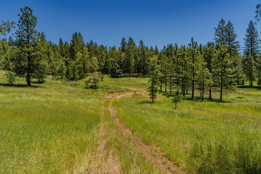 25755 State Highway 88, Pioneer, CA for sale - Building Photo - Image 2 of 20