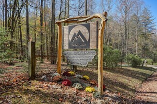 Plus de détails pour 400 Mulberry Gap Rd, Ellijay, GA - Services hôteliers à vendre