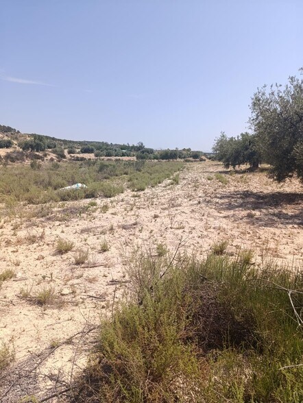 Terrain dans Albudeite, Murcia à vendre - Plan de site - Image 3 de 3