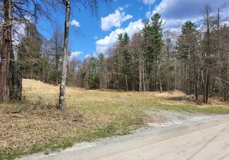 More details for Heavy Rd, Friendsville, PA - Land for Sale