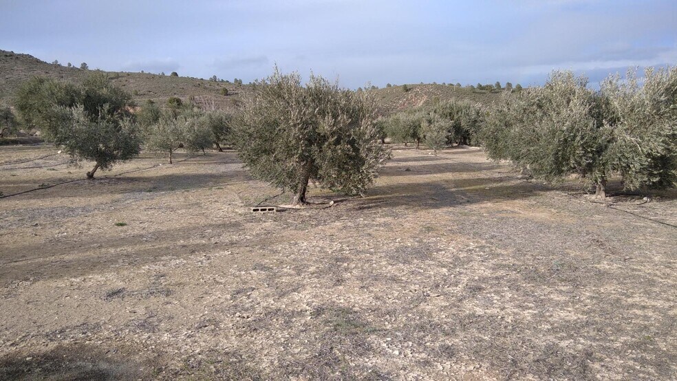 Land in Calasparra, Murcia for sale - Building Photo - Image 3 of 26