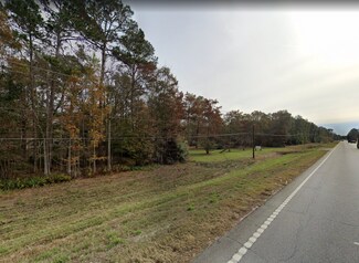 Plus de détails pour 897 US- Hwy80, Eden, GA - Terrain à vendre