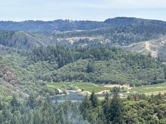 Plus de détails pour 4901 Stewarts Point Skaggs Springs Road, Geyserville, CA - Terrain à vendre