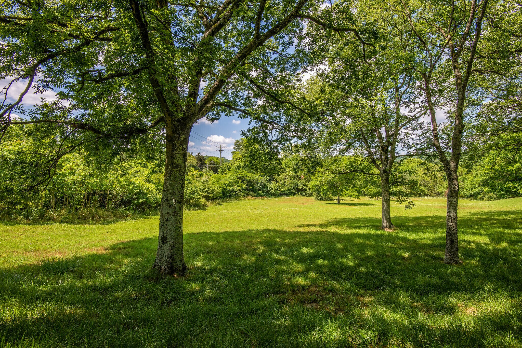 7330 Charlotte Pike, Nashville, TN à vendre Autre- Image 1 de 8