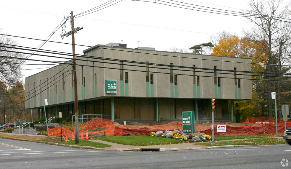 250 Madison Ave, Morristown, NJ for lease - Building Photo - Image 2 of 4