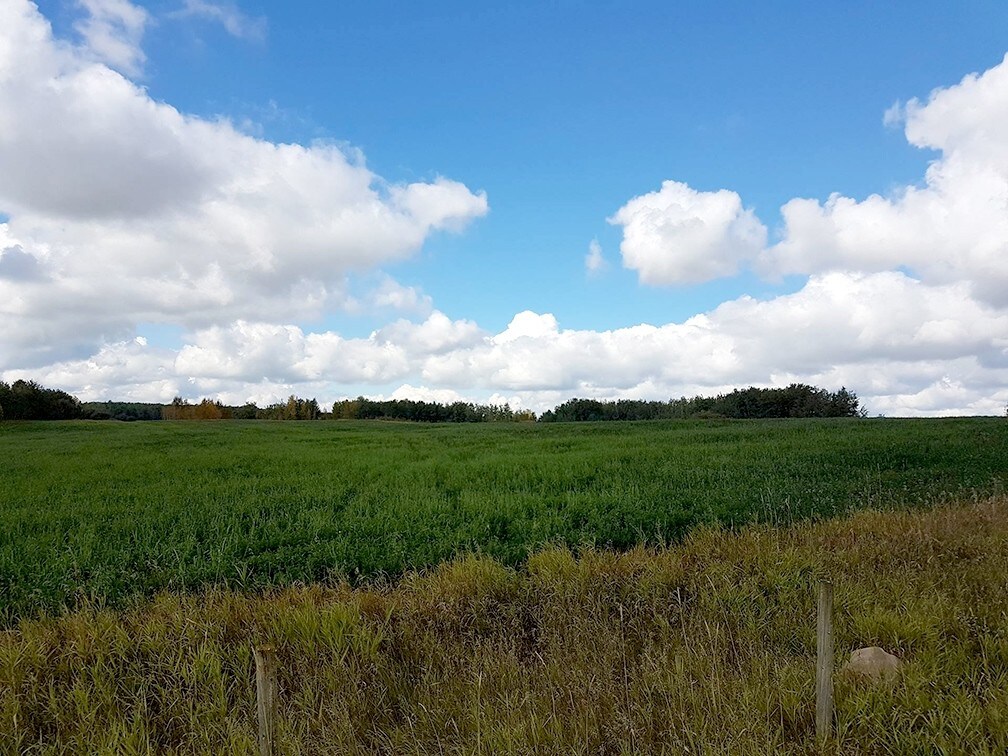 Range Rd 21, Onoway, AB for sale Building Photo- Image 1 of 1