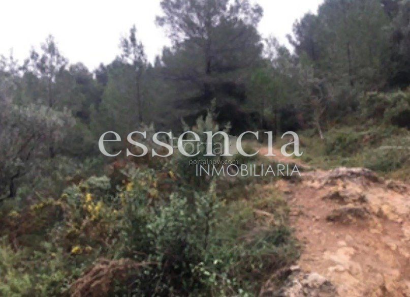 Font del Garrofer-Jericull, Oliva, Ayuntamiento, 24, Oliva, Valencia for sale - Building Photo - Image 3 of 6