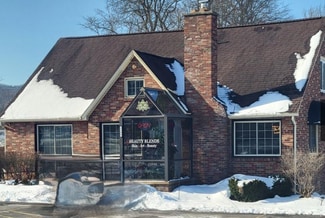Plus de détails pour 7166 Boston State Rd, Hamburg, NY - Bureau à vendre