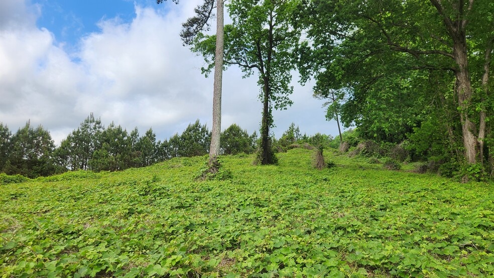 Near 5370 Deerfoot Parkway Pky, Trussville, AL for sale - Building Photo - Image 3 of 15