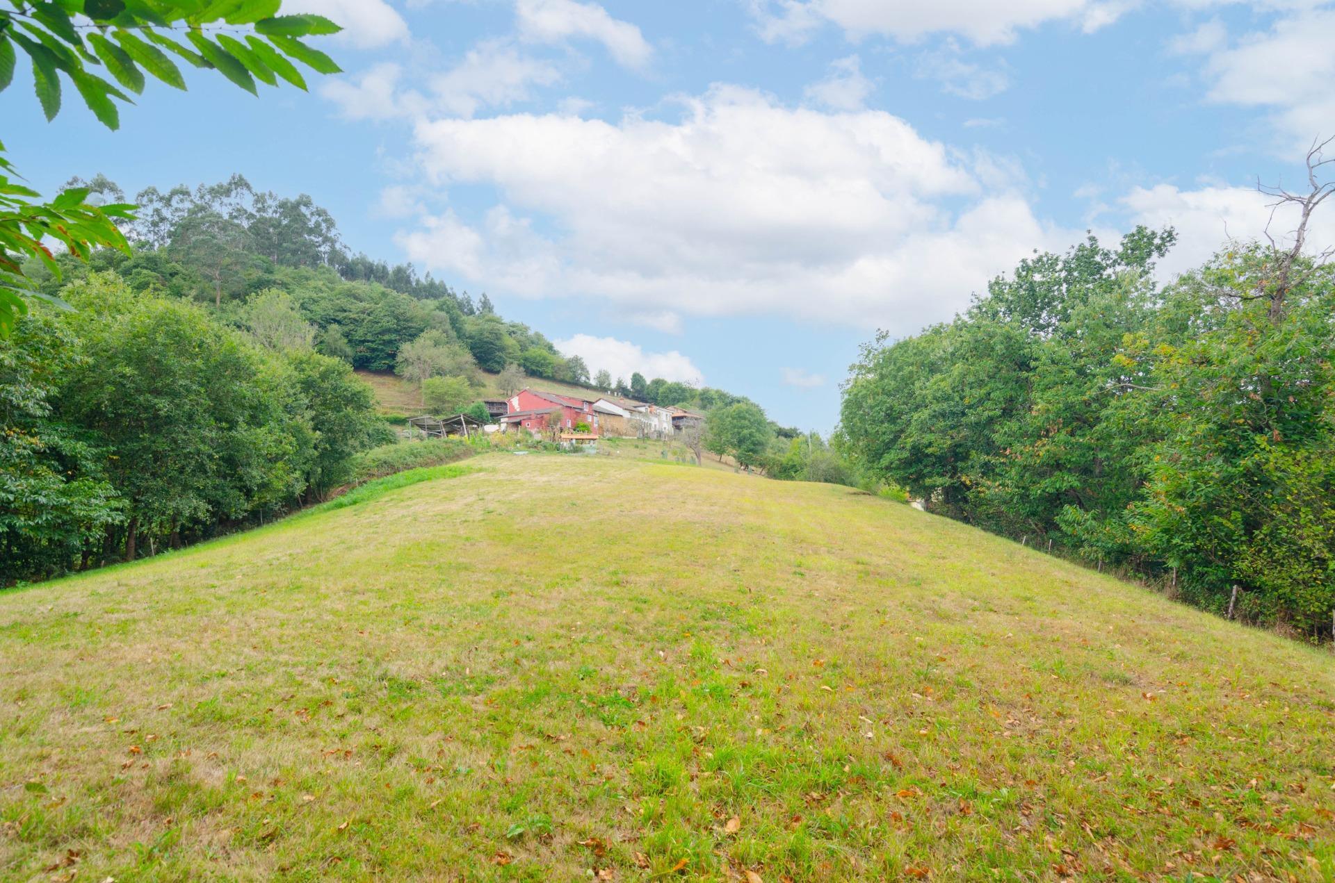 Quintana, Villaperez, Prado, Oviedo, Asturias for sale Building Photo- Image 1 of 34