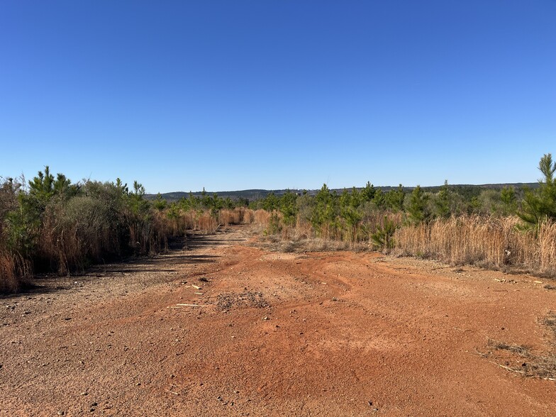 TBD NC 73 Hwy, Ellerbe, NC à vendre - Photo principale - Image 1 de 13