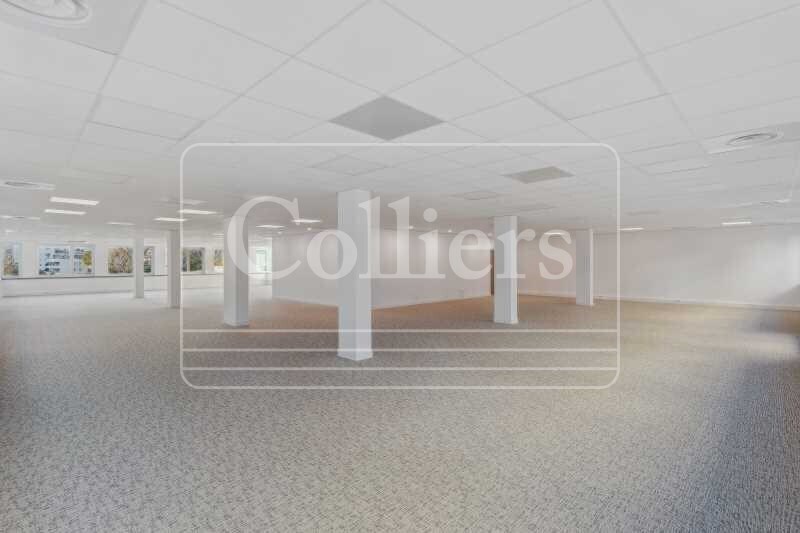 Office in Marseille for lease - Interior Photo - Image 2 of 3