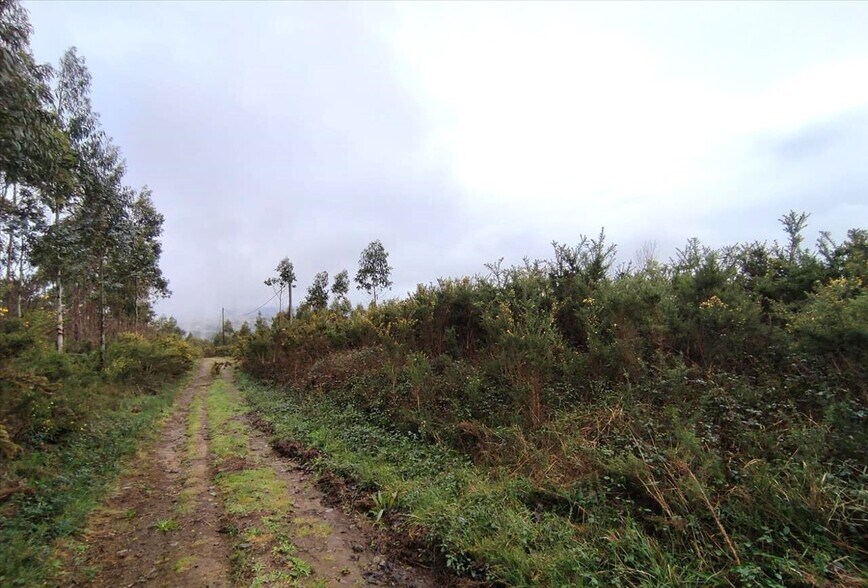 Parcela, 16, A Coruña, La Coruna for sale - Building Photo - Image 3 of 16