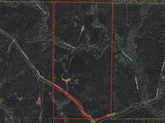 More details for 0 Carlisle Gap Rd, Woodland, GA - Land for Sale